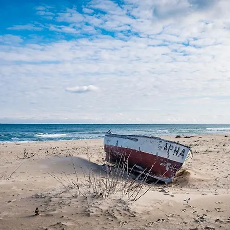 виктория - * קמיצ'יה